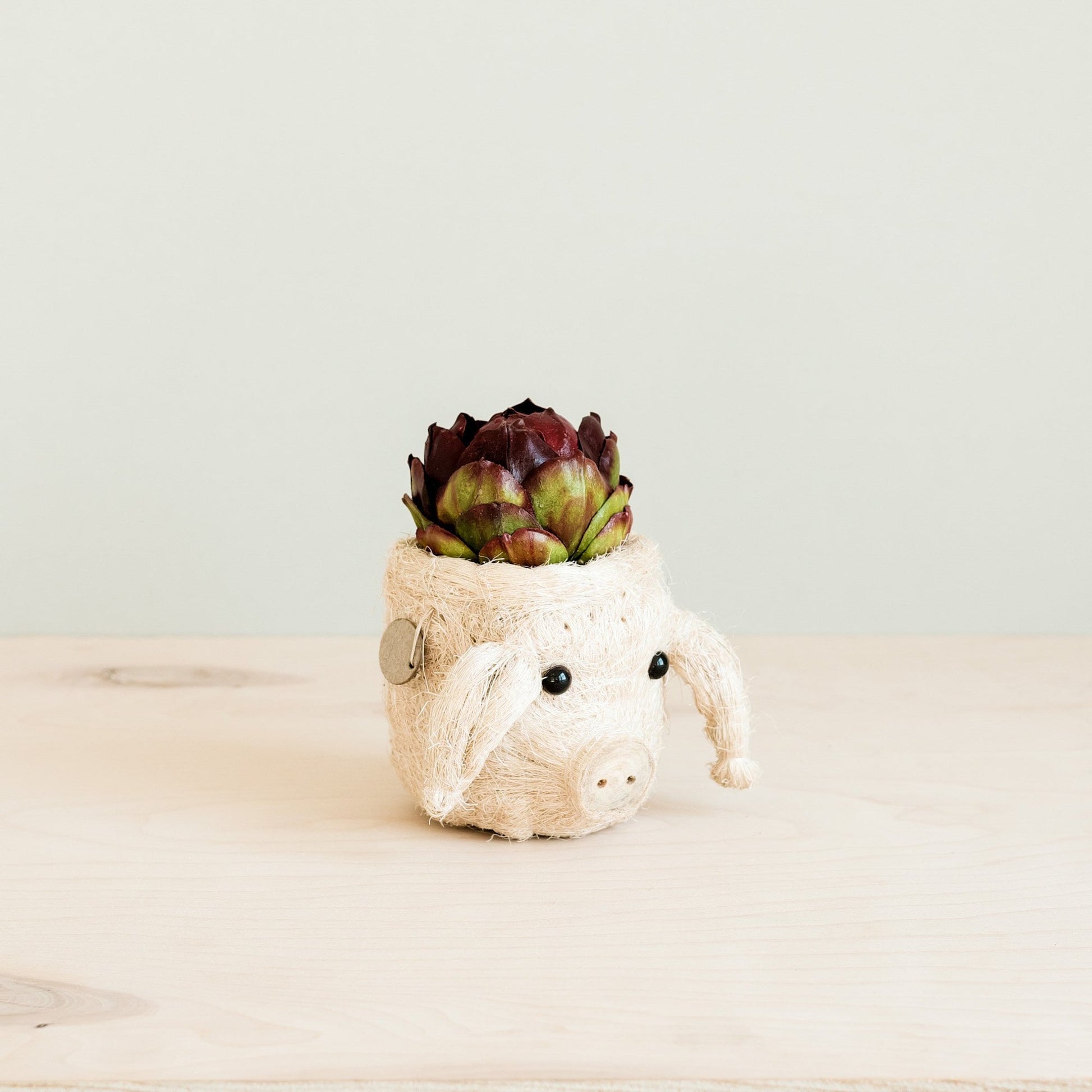 Coco Coir Animal Head Planter | Pig-LIKHÂ-RAUHA Crafts