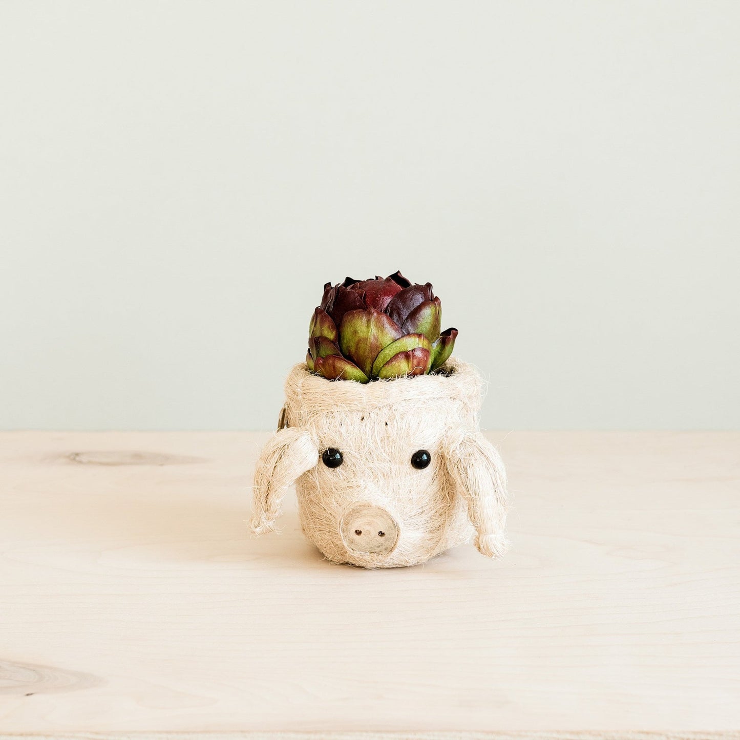 Coco Coir Animal Head Planter | Pig-LIKHÂ-RAUHA Crafts