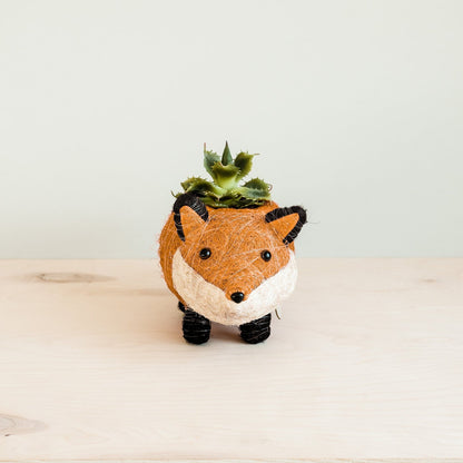 Coco Coir Animal Planter | Baby Fox-LIKHÂ-RAUHA Crafts