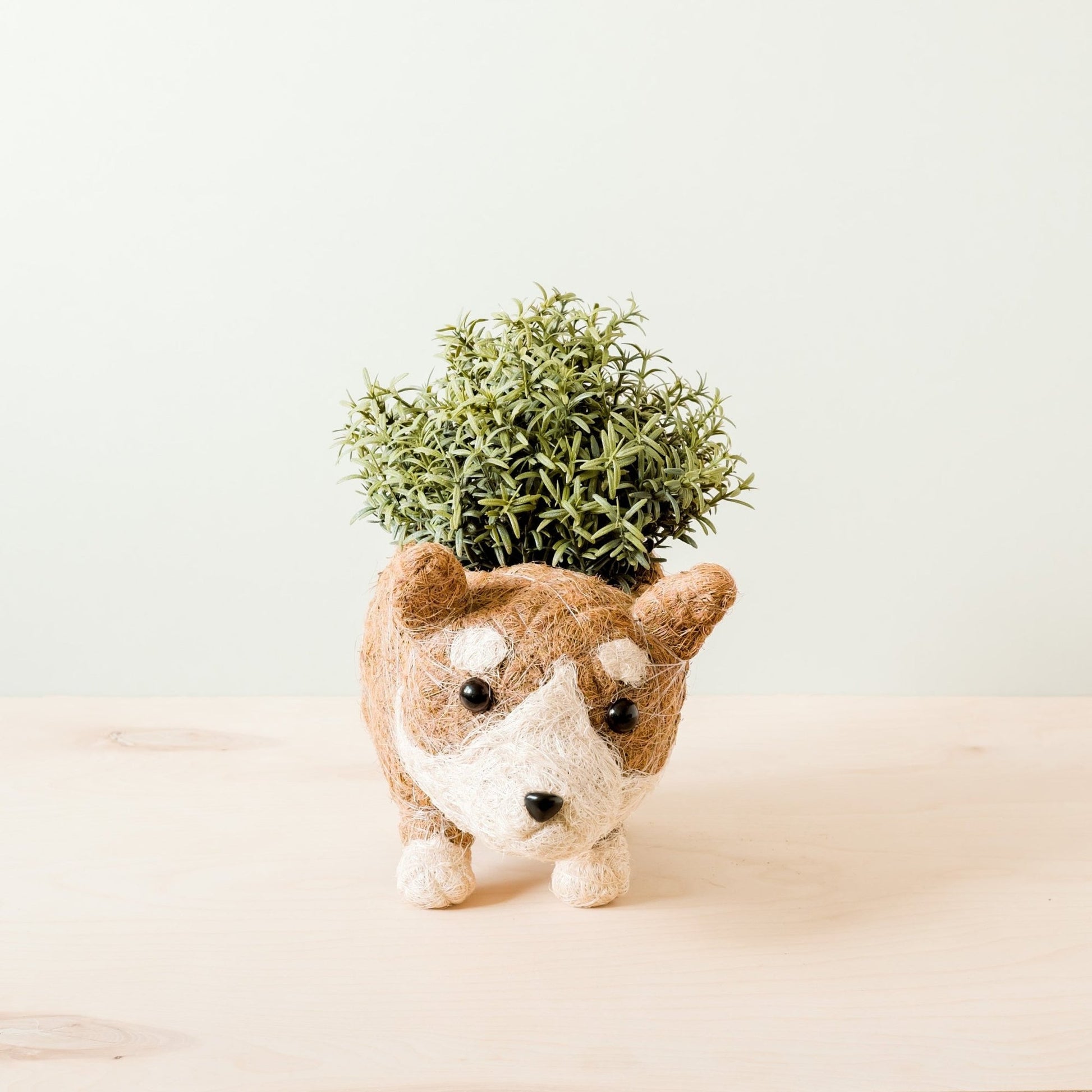 Coco Coir Animal Planter | Corgi-LIKHÂ-RAUHA Crafts