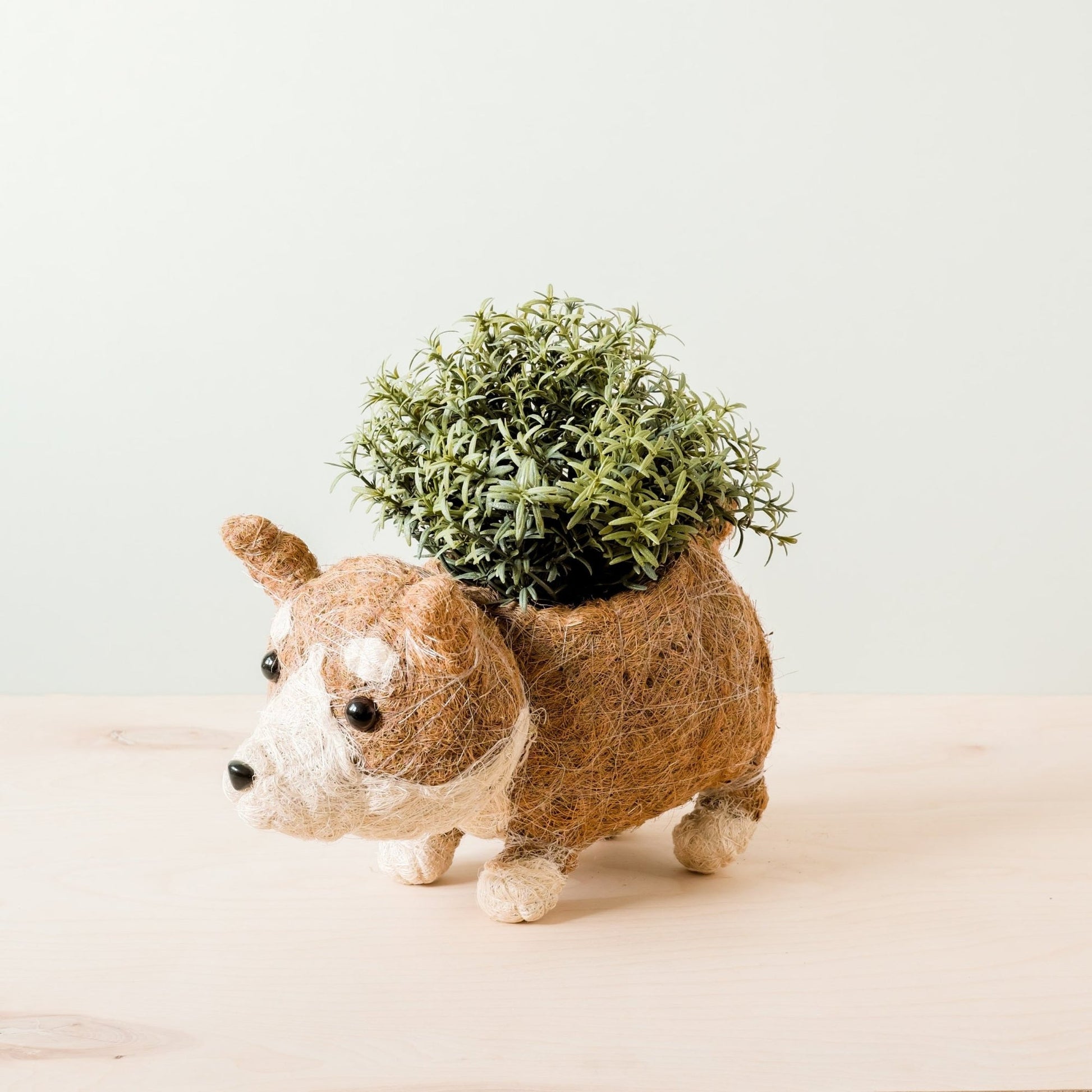 Coco Coir Animal Planter | Corgi-LIKHÂ-RAUHA Crafts