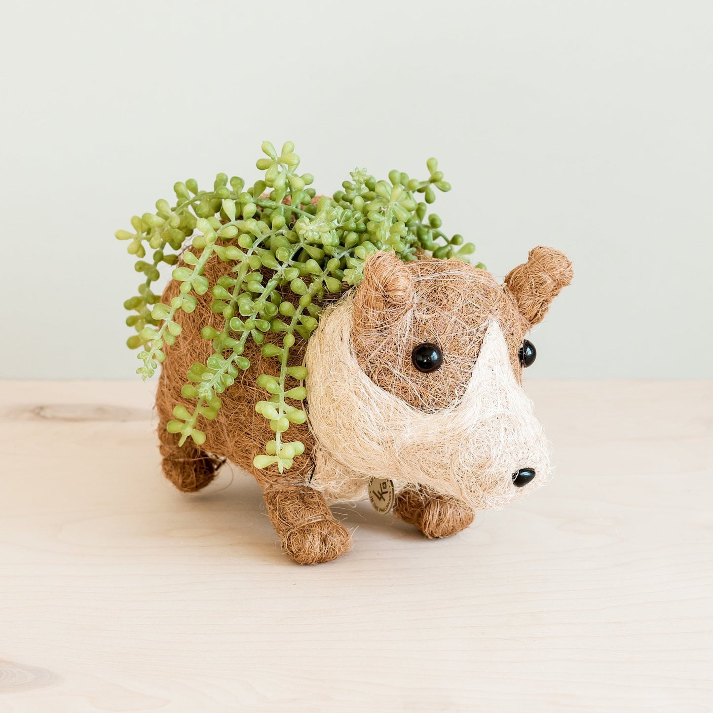 Handcrafted coco coir corgi planter filled with green succulent plants, sustainable home decor piece on light background