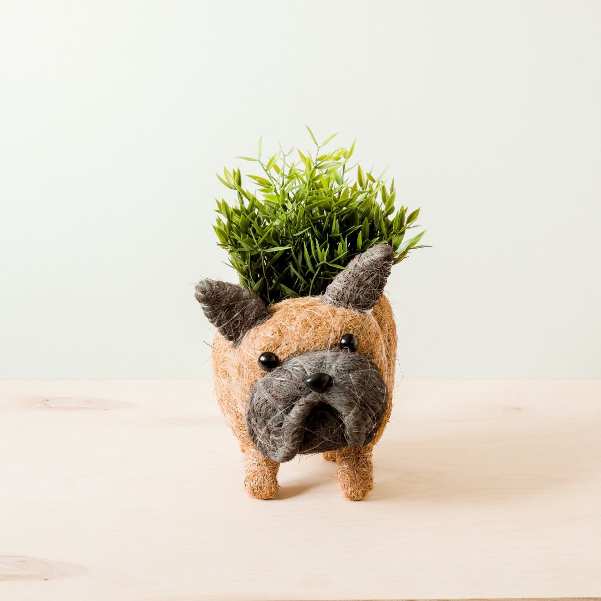 Coco Coir Animal Planter | French Bulldog-LIKHÂ-RAUHA Crafts