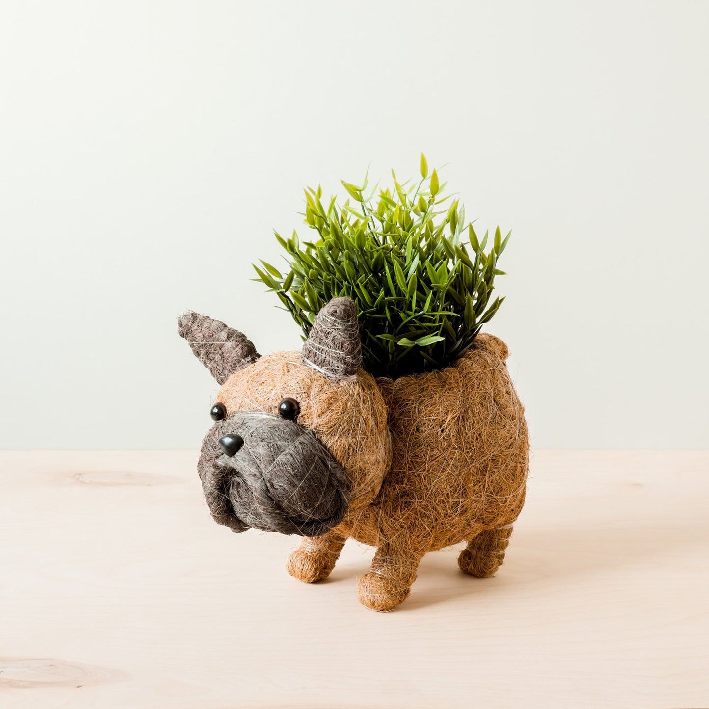 Coco Coir Animal Planter | French Bulldog-LIKHÂ-RAUHA Crafts