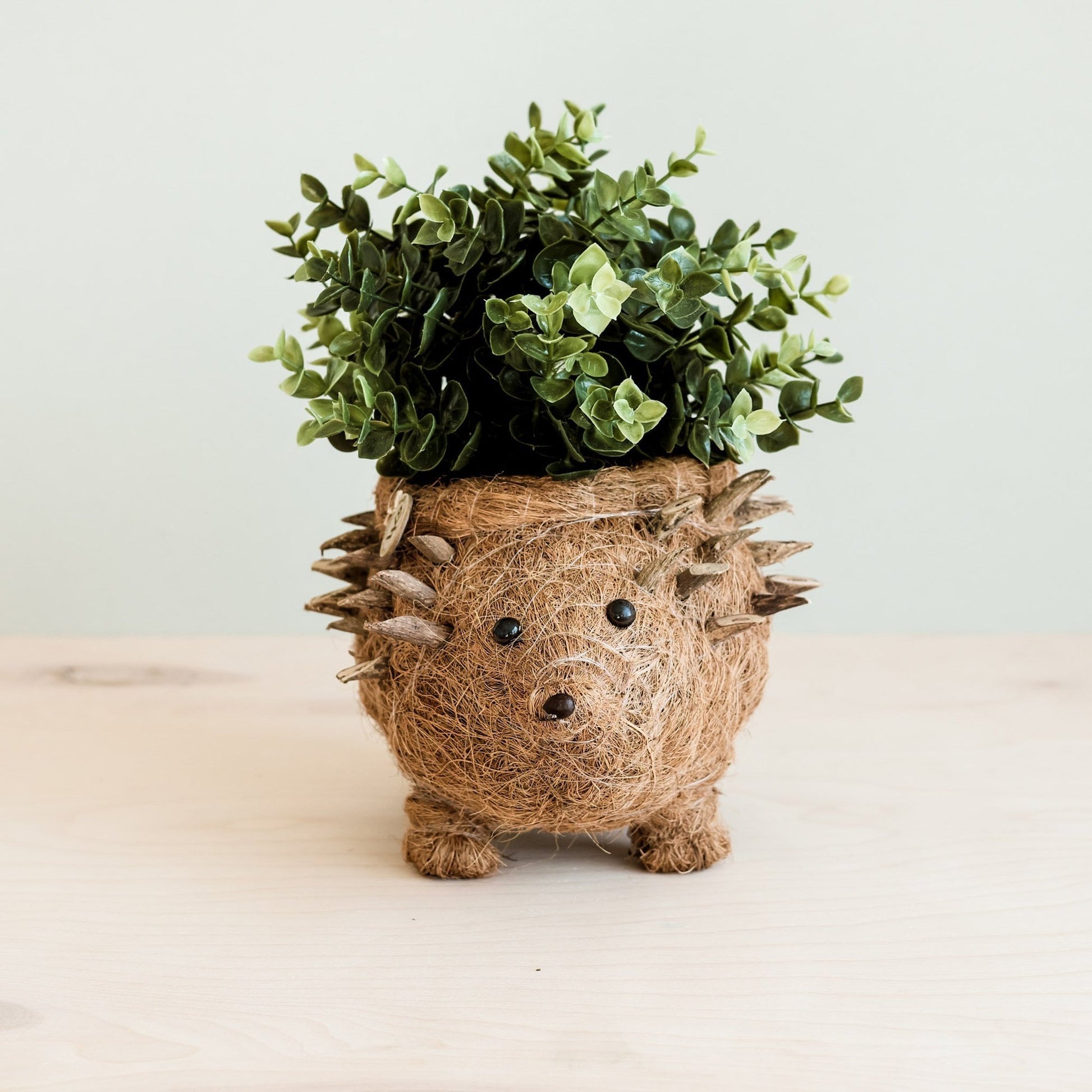 Coco Coir Animal Planter | Hedgehog-LIKHÂ-RAUHA Crafts