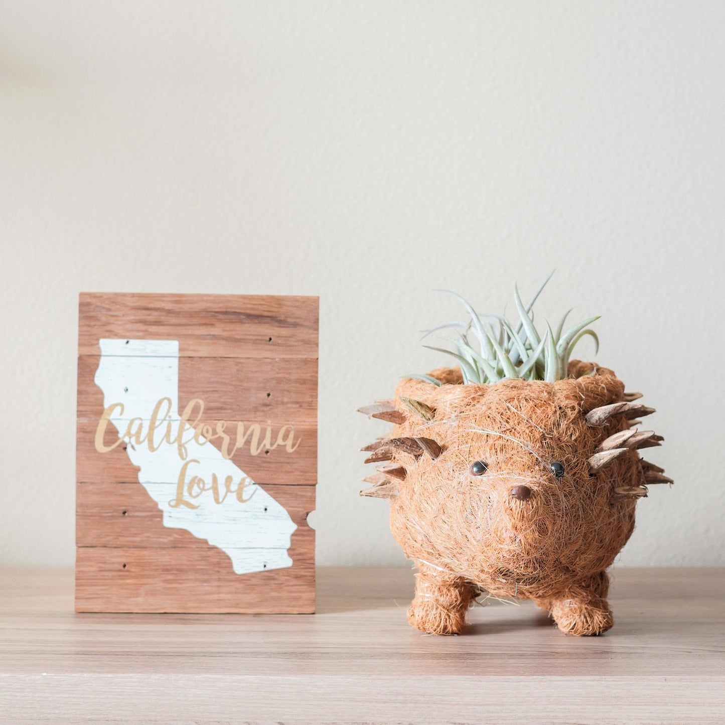 Coco Coir Animal Planter | Hedgehog-LIKHÂ-RAUHA Crafts