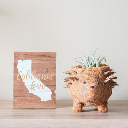 Coco Coir Animal Planter | Hedgehog-LIKHÂ-RAUHA Crafts