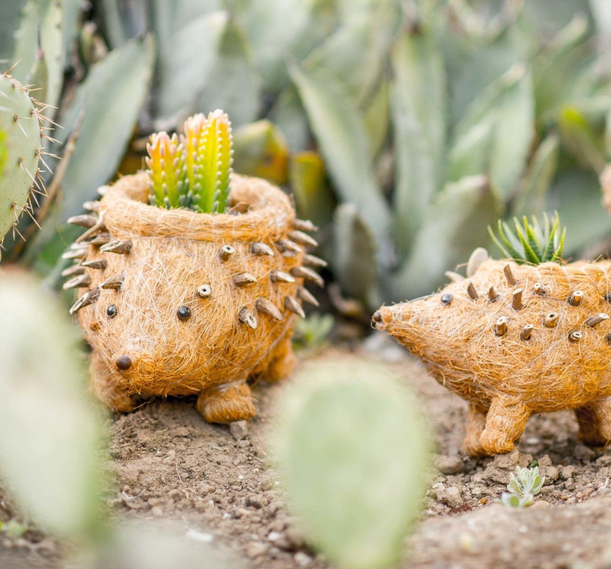 Coco Coir Animal Planter | Hedgehog-LIKHÂ-RAUHA Crafts