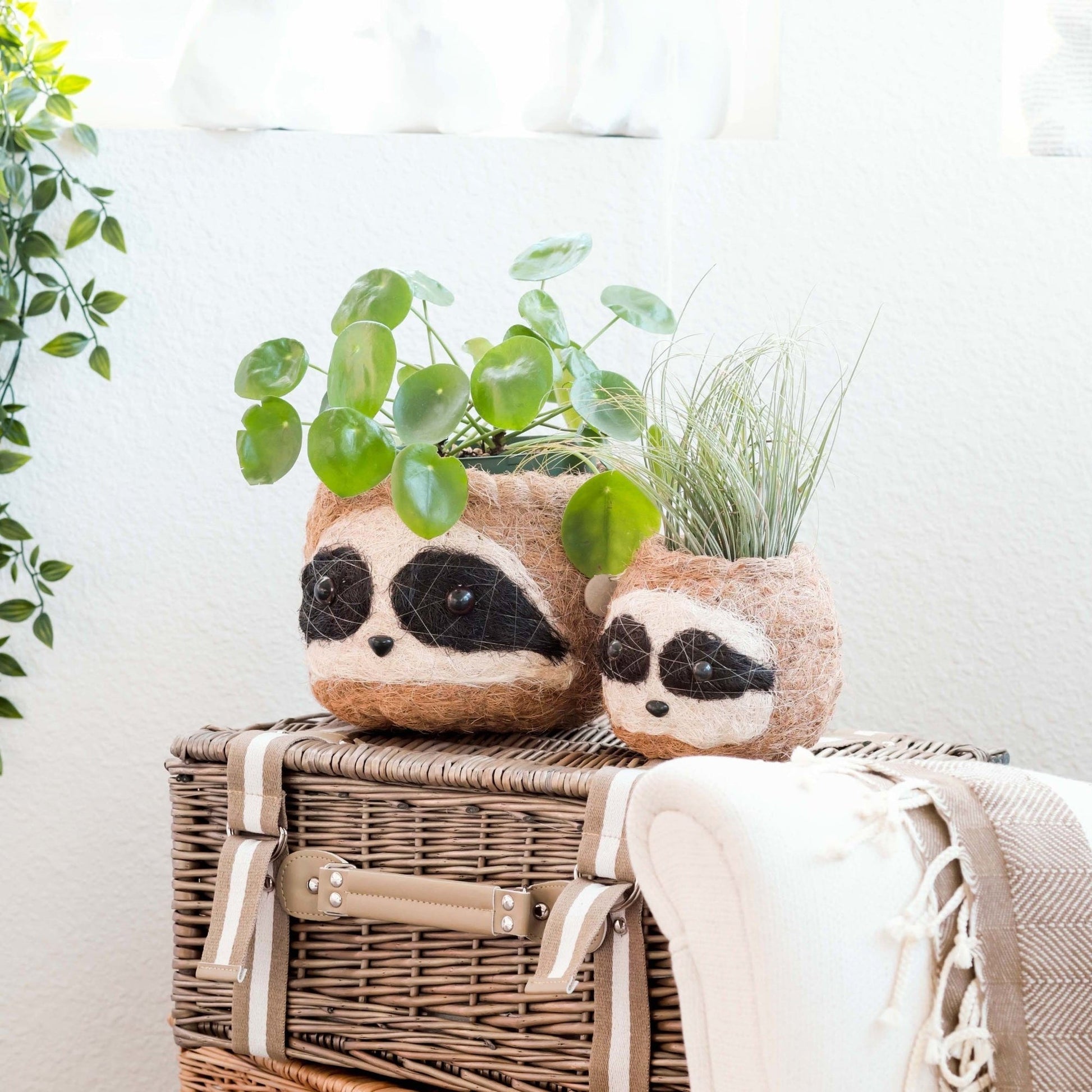 Coco Coir Animal Planter | Three-tone Sloth-LIKHÂ-RAUHA Crafts