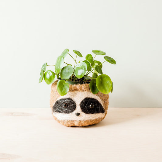 Coco Coir Animal Planter | Three-tone Sloth-LIKHÂ-RAUHA Crafts