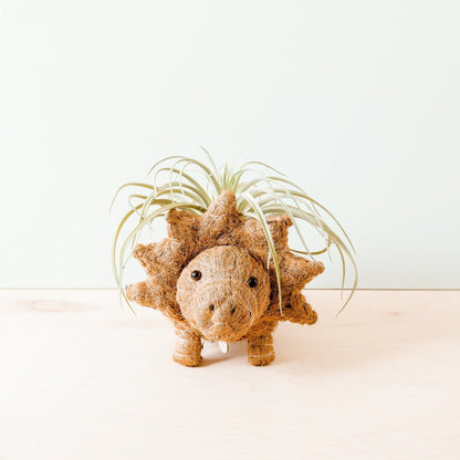 Coco Coir Animal Planter | Triceratops-LIKHÂ-RAUHA Crafts