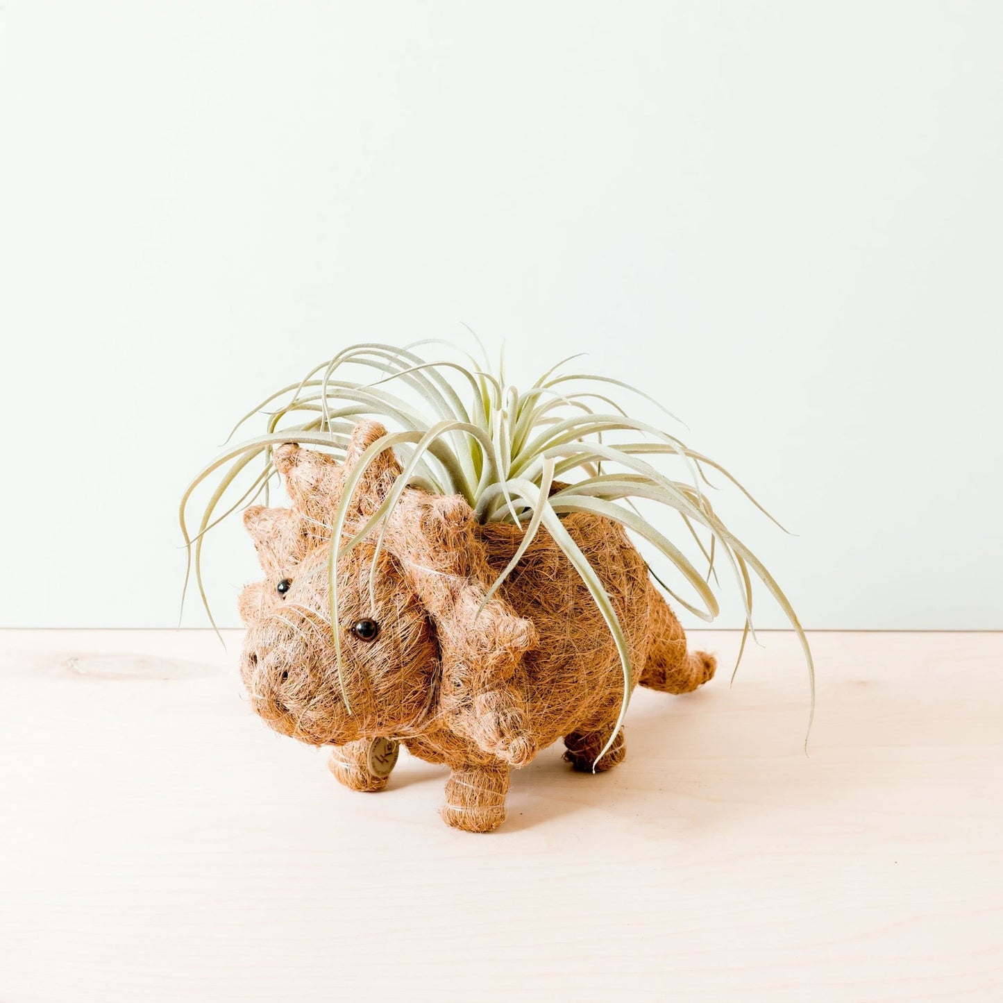 Coco Coir Animal Planter | Triceratops-LIKHÂ-RAUHA Crafts