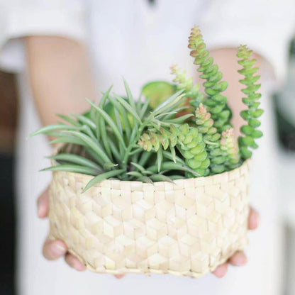 Palm Leaf Hexagonal Box | Dese-Du Anyam-RAUHA Crafts