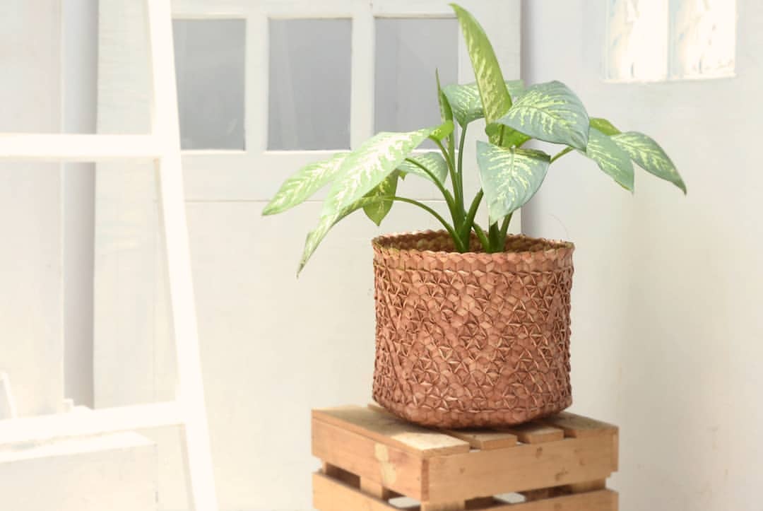 Palm Leaf Storage Basket | Sobe Teak-Du Anyam-RAUHA Crafts